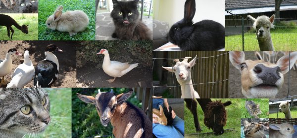 #caption16 Ferienhof Eckl