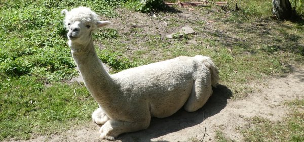 #caption11 Ferienhof Eckl